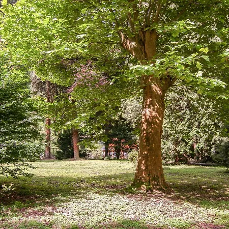Haus Wildstein.4 * Traben-Trarbach